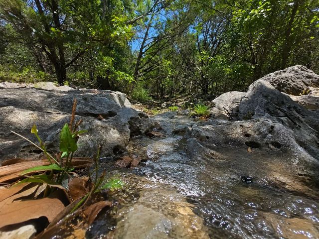 330 Live Oak Hills CT, San Marcos, TX 78666
