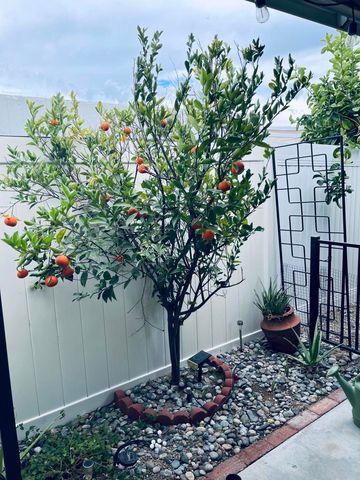 246 Laredo Drive, Palm Springs, CA 92264