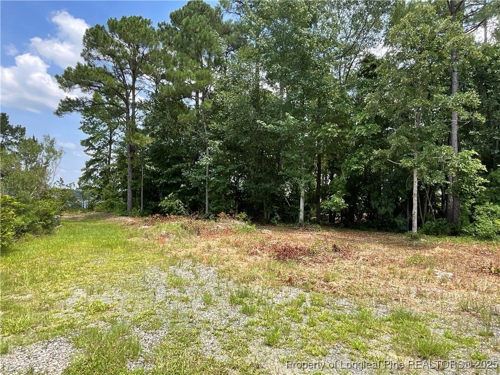 226 Clearview Court, Sanford, NC 27332