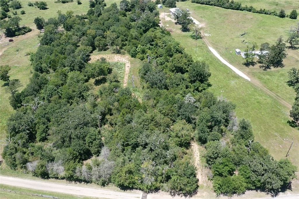 1224 South State Street, Madisonville, TX 77864 — photo 3