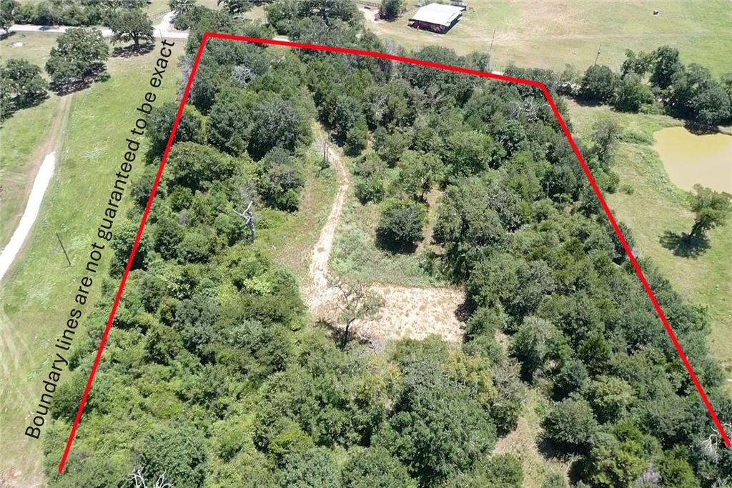 1224 South State Street, Madisonville, TX 77864 — photo 5
