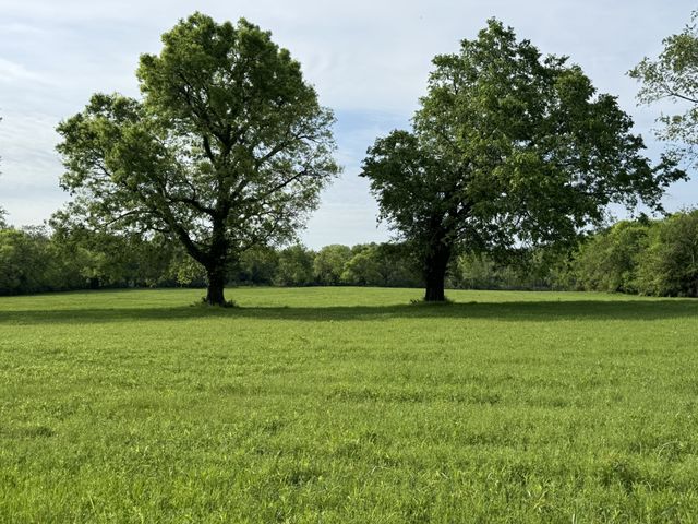 0 Clarksville Pike, Whites Creek, TN 37189