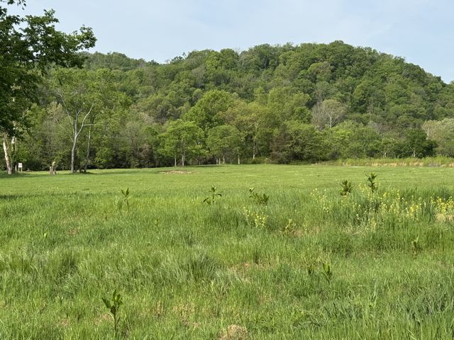 0 Clarksville Pike, Whites Creek, TN 37189