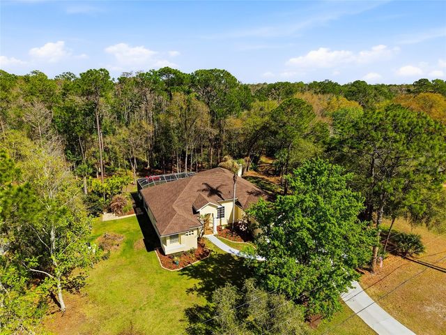 8422 SHENANDOAH RUN, Wesley Chapel, FL 33544