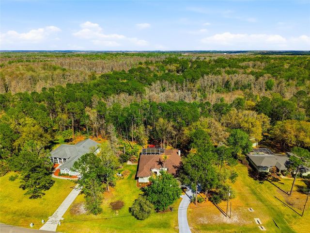 8422 SHENANDOAH RUN, Wesley Chapel, FL 33544