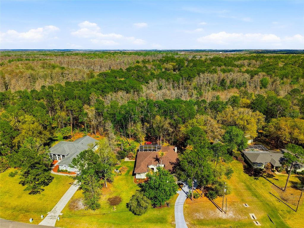 Image 89 of property listing at 8422 SHENANDOAH RUN, Wesley Chapel, FL 33544