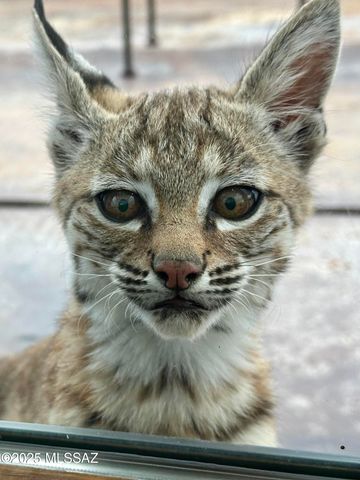 141 Ramada Trail, Tubac, AZ 85646