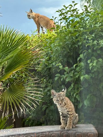 141 Ramada Trail, Tubac, AZ 85646