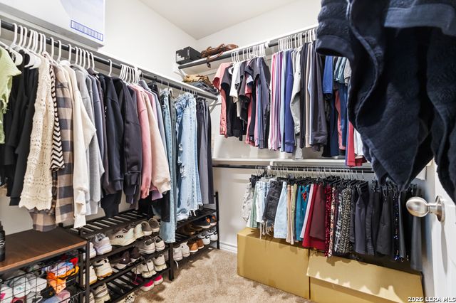 5919 Hindes Stone, San Antonio, TX 78253