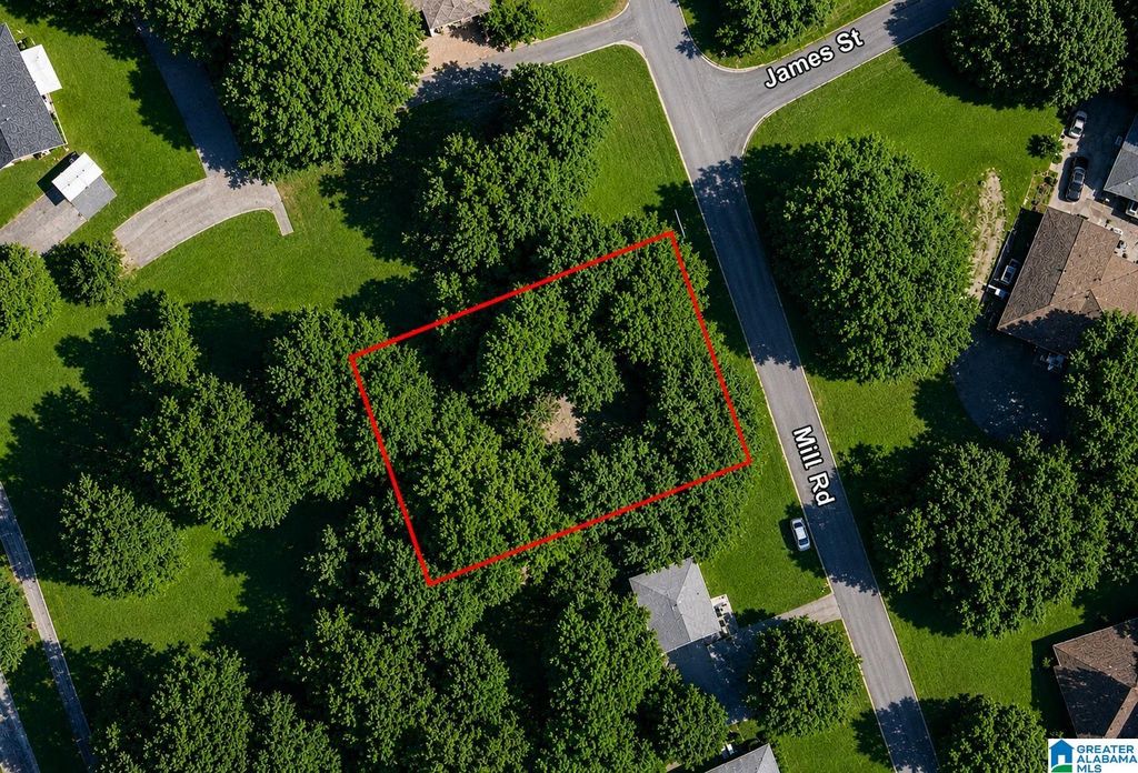 161 MILL ROAD, Springville, AL 35146