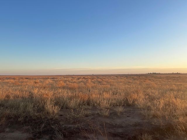 CR 132, Loop, TX 79342