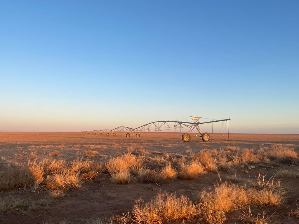 CR 132, Loop, TX 79342