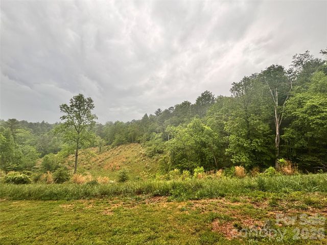 191 Posey Griffin Drive, Mars Hill, NC 28754