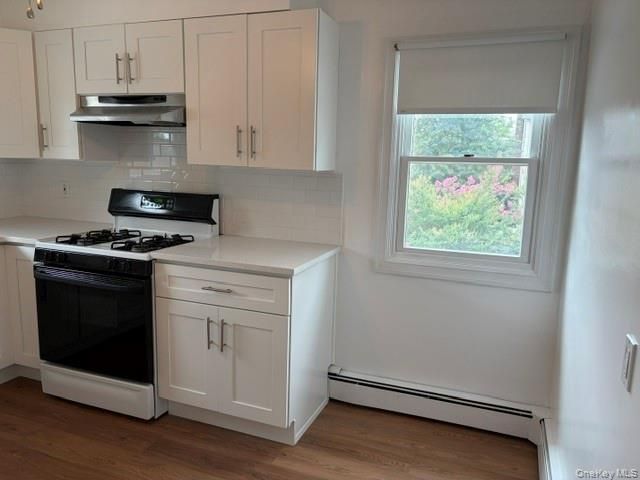 232 Catherine Avenue, Franklin Square, NY 11010