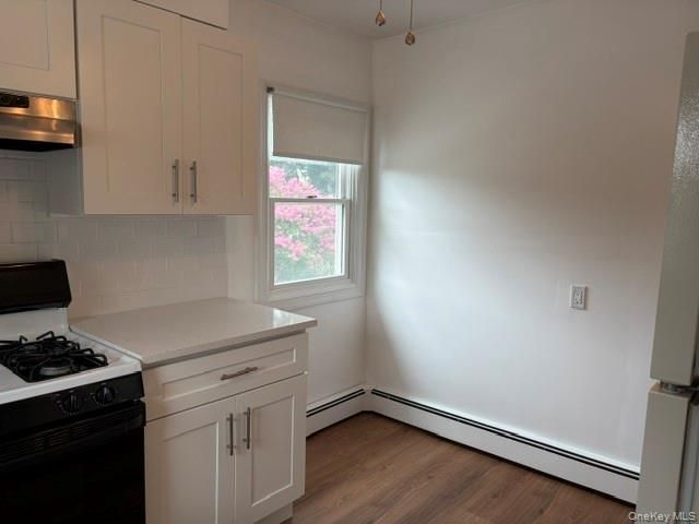 232 Catherine Avenue, Franklin Square, NY 11010