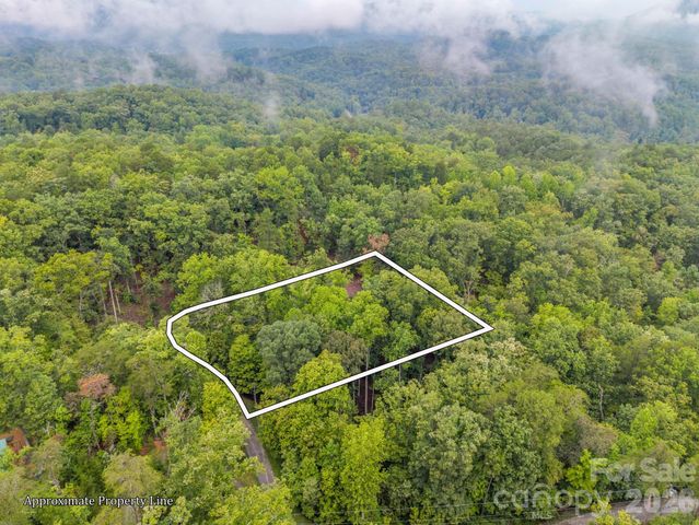 344 Wolf Trail, Lake Lure, NC 28746