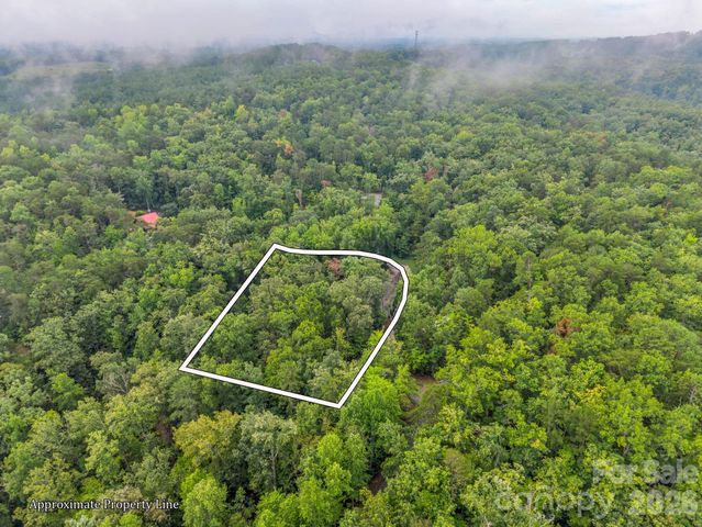 344 Wolf Trail, Lake Lure, NC 28746