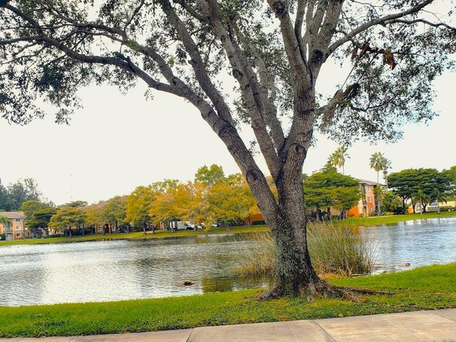 4187 N Haverhill Road 515, West Palm Beach, FL 33417