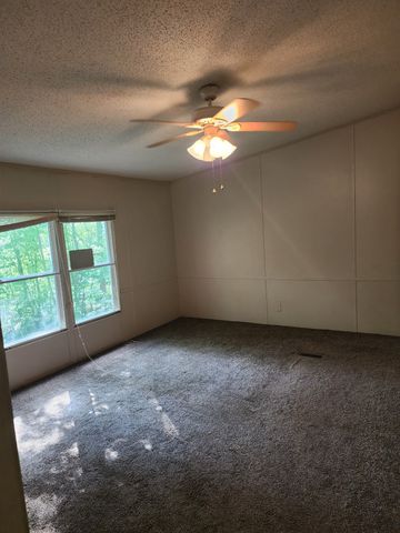 198 Neil Dr, Smithville, TN 37166