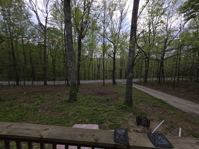 198 Neil Dr, Smithville, TN 37166