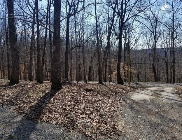 198 Neil Dr, Smithville, TN 37166