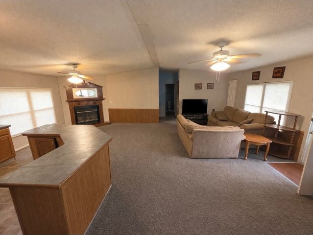 198 Neil Dr, Smithville, TN 37166