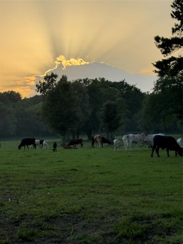 TBD Sharpwest Trail, Montgomery, TX 77316