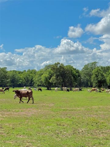 TBD Sharpwest Trail, Montgomery, TX 77316