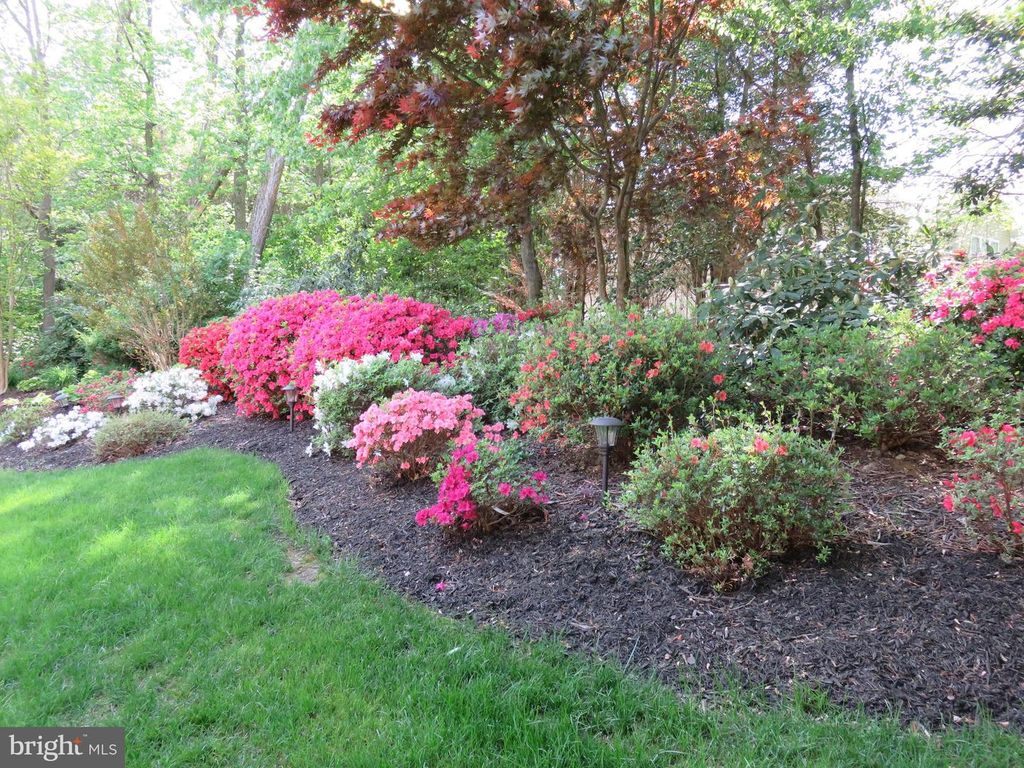 Image 60 of property listing at 2623 SALFORD DR, Crofton, MD 21114