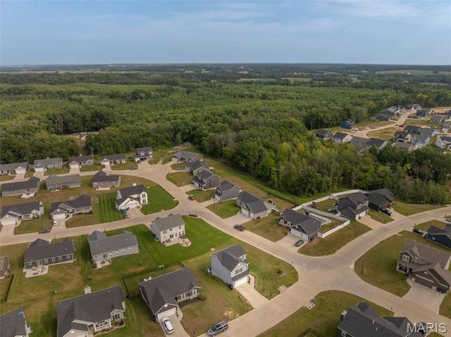 463 Birchwood Drive, Moscow Mills, MO 63362