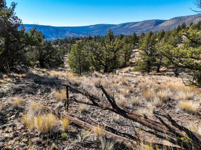 10081 SE Pavati Drive Lot 35, Prineville, OR 97754
