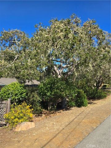 2300 Pineridge Drive, Cambria, CA 93428