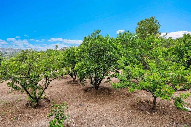 4360 Helix Canyon Dr, La Mesa, CA 91941