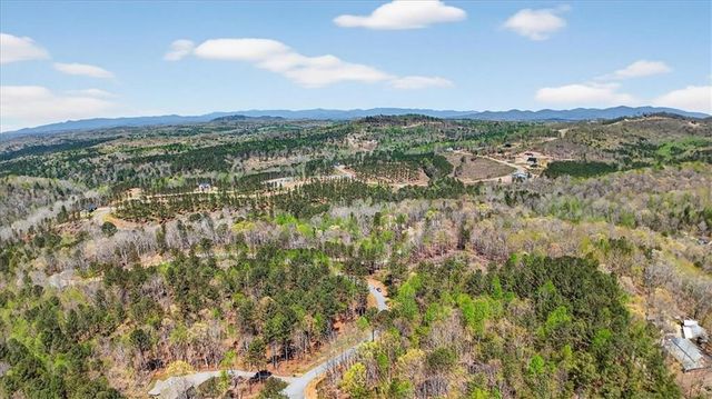 0 Twisted Oak Road, Talking Rock, GA 30175