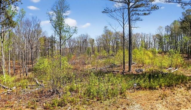 0 Twisted Oak Road, Talking Rock, GA 30175