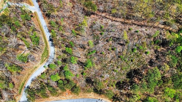 0 Twisted Oak Road, Talking Rock, GA 30175