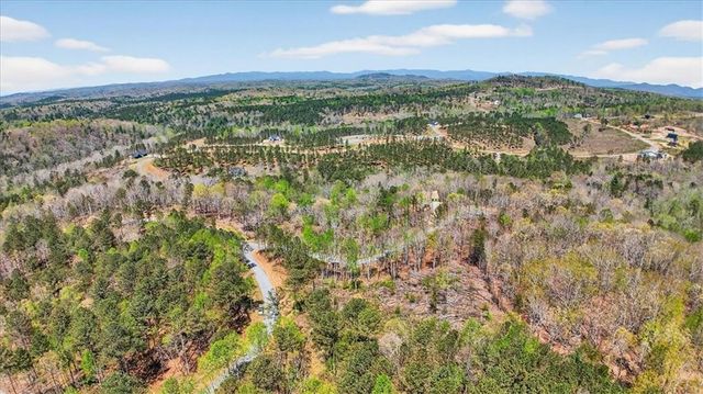 0 Twisted Oak Road, Talking Rock, GA 30175