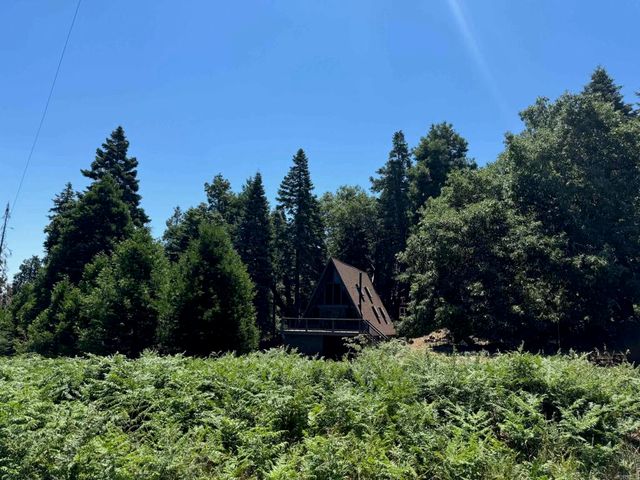 22248 Crestline Road, Palomar Mountain, CA 92060