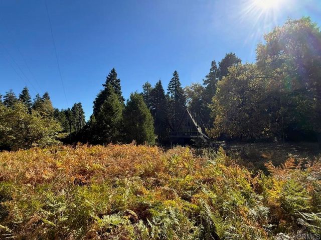 22248 Crestline Road, Palomar Mountain, CA 92060