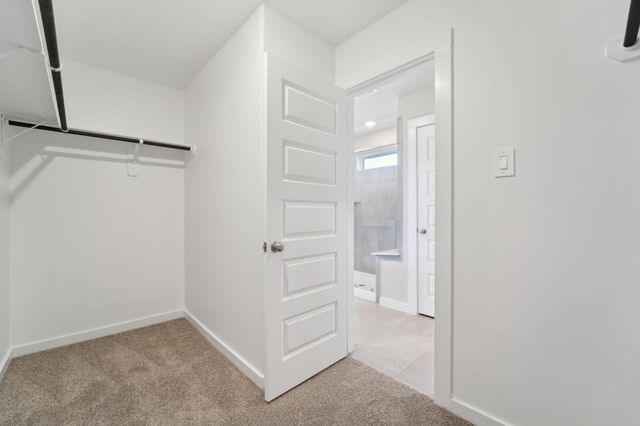 29210 Farmhouse Estates Drive, Waller, TX 77484