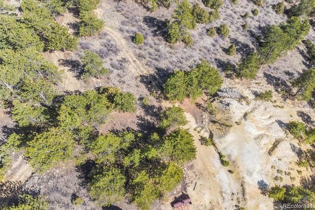 Wild Wagoner Tr, Dumont, CO 80452