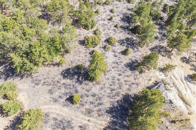 Wild Wagoner Tr, Dumont, CO 80452