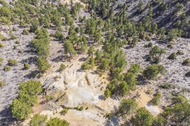 Wild Wagoner Tr, Dumont, CO 80452