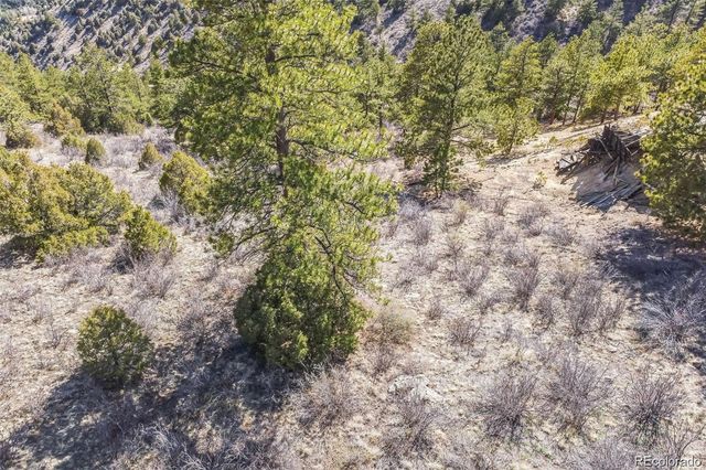 Wild Wagoner Tr, Dumont, CO 80452