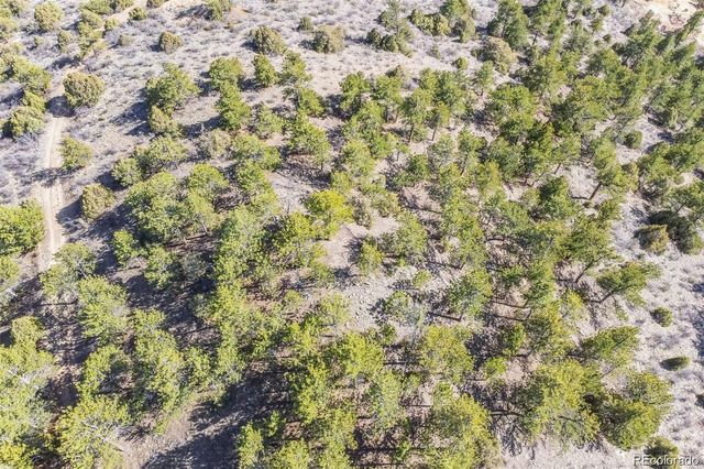 Wild Wagoner Tr, Dumont, CO 80452