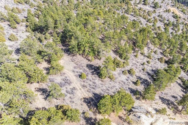 Wild Wagoner Tr, Dumont, CO 80452