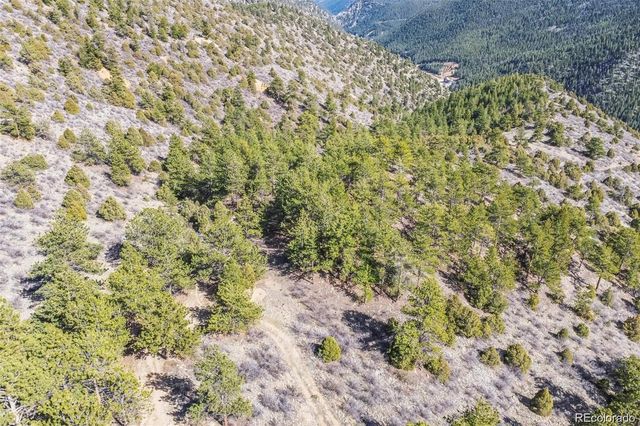 Wild Wagoner Tr, Dumont, CO 80452