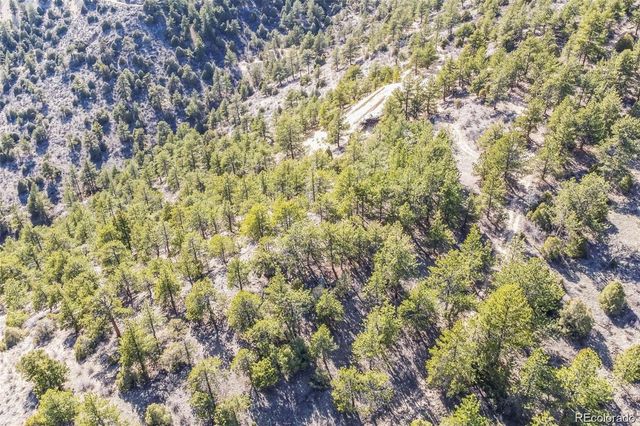 Wild Wagoner Tr, Dumont, CO 80452