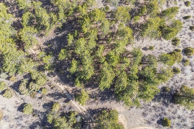 Wild Wagoner Tr, Dumont, CO 80452