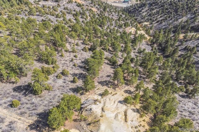 Wild Wagoner Tr, Dumont, CO 80452